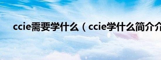 ccie需要学什么（ccie学什么简介介绍）