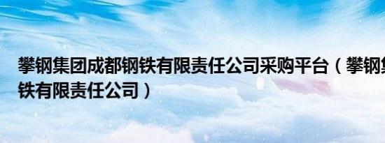 攀钢集团成都钢铁有限责任公司采购平台（攀钢集团成都钢铁有限责任公司）