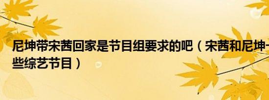 尼坤带宋茜回家是节目组要求的吧（宋茜和尼坤一齐上过哪些综艺节目）