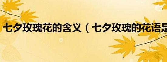 七夕玫瑰花的含义（七夕玫瑰的花语是什么）