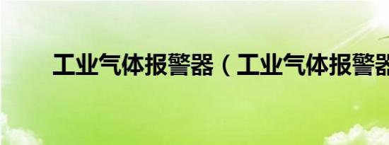 工业气体报警器（工业气体报警器）