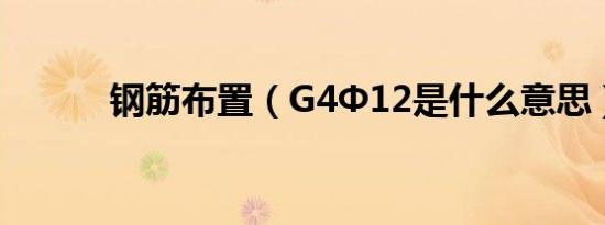 钢筋布置（G4Φ12是什么意思）