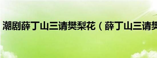 潮剧薛丁山三请樊梨花（薛丁山三请樊梨花）