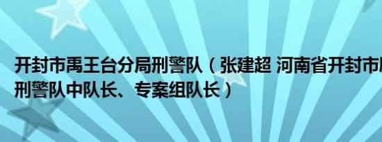 开封市禹王台分局刑警队（张建超 河南省开封市尉氏县时任刑警队中队长、专案组队长）