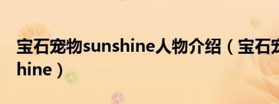 宝石宠物sunshine人物介绍（宝石宠物sunshine）