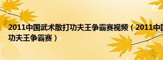 2011中国武术散打功夫王争霸赛视频（2011中国武术散打功夫王争霸赛）