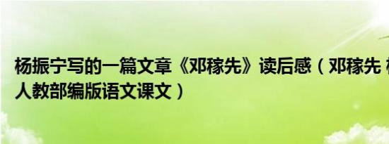 杨振宁写的一篇文章《邓稼先》读后感（邓稼先 杨振宁文章人教部编版语文课文）