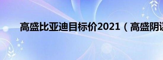 高盛比亚迪目标价2021（高盛阴谋）