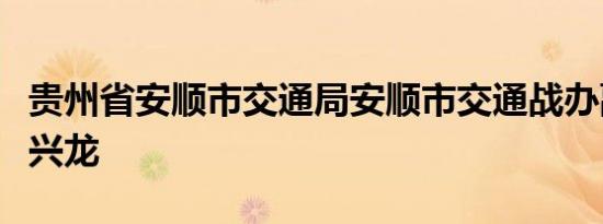 贵州省安顺市交通局安顺市交通战办副主任刘兴龙