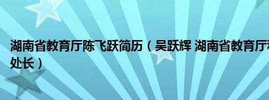 湖南省教育厅陈飞跃简历（吴跃辉 湖南省教育厅科学技术处处长）