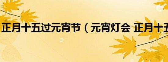 正月十五过元宵节（元宵灯会 正月十五节日）