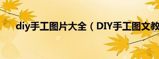 diy手工图片大全（DIY手工图文教程）