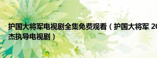 护国大将军电视剧全集免费观看（护国大将军 2011年王文杰执导电视剧）