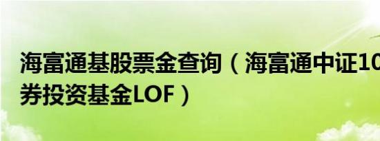 海富通基股票金查询（海富通中证100指数证券投资基金LOF）