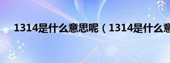 1314是什么意思呢（1314是什么意思）