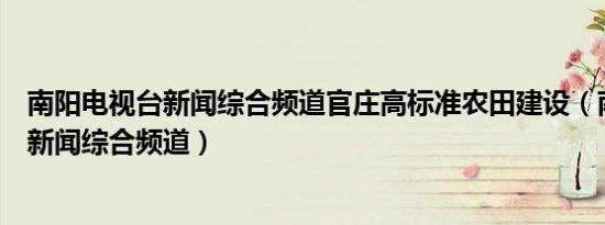 南阳电视台新闻综合频道官庄高标准农田建设（南阳电视台新闻综合频道）