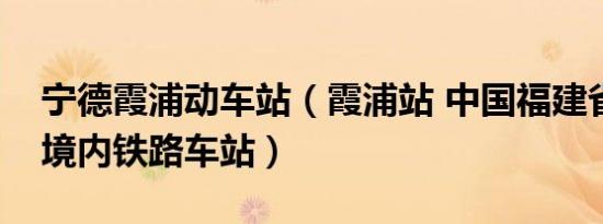 宁德霞浦动车站（霞浦站 中国福建省宁德市境内铁路车站）