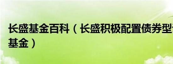 长盛基金百科（长盛积极配置债券型证券投资基金）