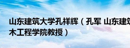 山东建筑大学孔祥辉（孔军 山东建筑大学土木工程学院教授）