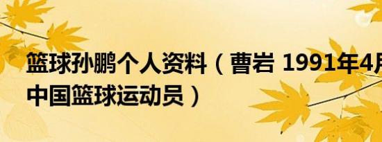 篮球孙鹏个人资料（曹岩 1991年4月出生的中国篮球运动员）