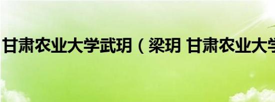 甘肃农业大学武玥（梁玥 甘肃农业大学教师）