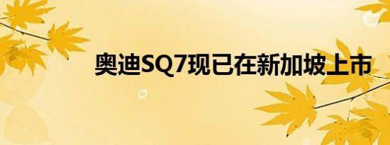 奥迪SQ7现已在新加坡上市