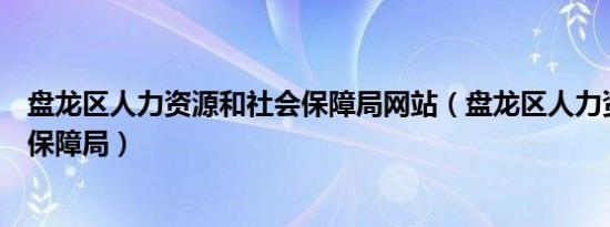 盘龙区人力资源和社会保障局网站（盘龙区人力资源和社会保障局）