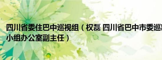 四川省委住巴中巡视组（权磊 四川省巴中市委巡察工作领导小组办公室副主任）