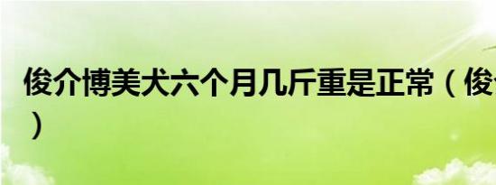 俊介博美犬六个月几斤重是正常（俊介博美犬）