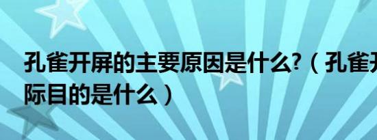 孔雀开屏的主要原因是什么?（孔雀开屏的实际目的是什么）