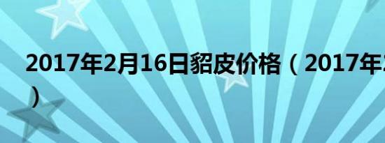 2017年2月16日貂皮价格（2017年2月16日）