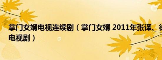 掌门女婿电视连续剧（掌门女婿 2011年张译、徐梵溪主演电视剧）