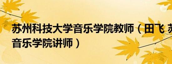 苏州科技大学音乐学院教师（田飞 苏州大学音乐学院讲师）