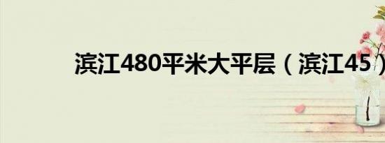 滨江480平米大平层（滨江45）