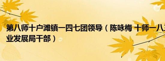 第八师十户滩镇一四七团领导（陈咏梅 十师一八三团社会事业发展局干部）