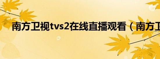 南方卫视tvs2在线直播观看（南方卫视）