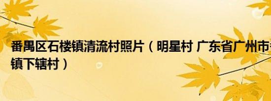 番禺区石楼镇清流村照片（明星村 广东省广州市番禺区石楼镇下辖村）