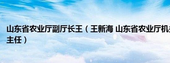 山东省农业厅副厅长王（王新海 山东省农业厅机关服务中心主任）