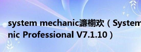 system mechanic濂椾欢（System Mechanic Professional V7.1.10）