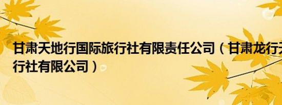 甘肃天地行国际旅行社有限责任公司（甘肃龙行天下国际旅行社有限公司）