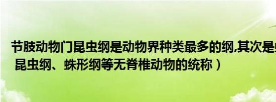 节肢动物门昆虫纲是动物界种类最多的纲,其次是蛛形纲（虫 昆虫纲、蛛形纲等无脊椎动物的统称）