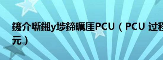 鑳介噺鎺у埗鍗曞厓PCU（PCU 过程控制单元）