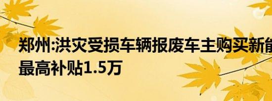 郑州:洪灾受损车辆报废车主购买新能源汽车最高补贴1.5万