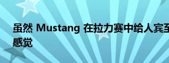 虽然 Mustang 在拉力赛中给人宾至如归的感觉