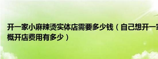 开一家小麻辣烫实体店需要多少钱（自己想开一家麻辣烫大概开店费用有多少）