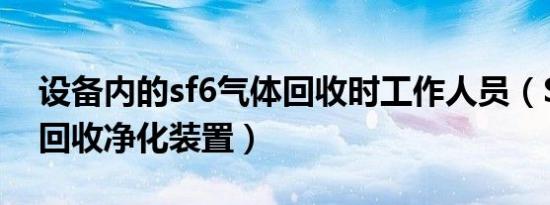 设备内的sf6气体回收时工作人员（SF6气体回收净化装置）