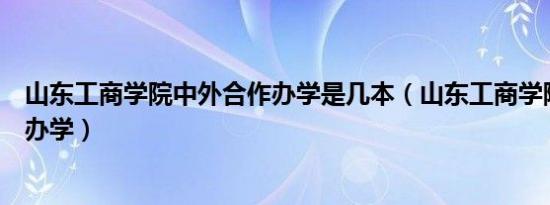 山东工商学院中外合作办学是几本（山东工商学院中外合作办学）