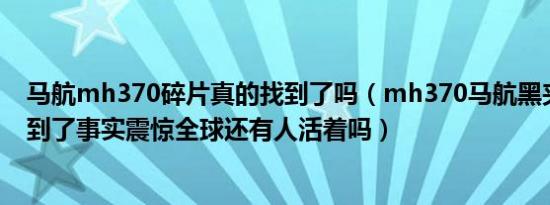 马航mh370碎片真的找到了吗（mh370马航黑夹子终于找到了事实震惊全球还有人活着吗）