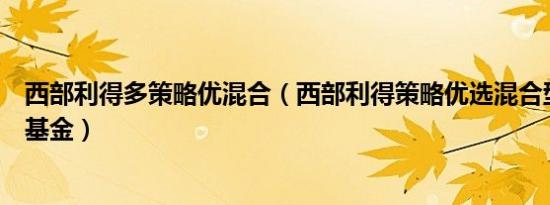 西部利得多策略优混合（西部利得策略优选混合型证券投资基金）