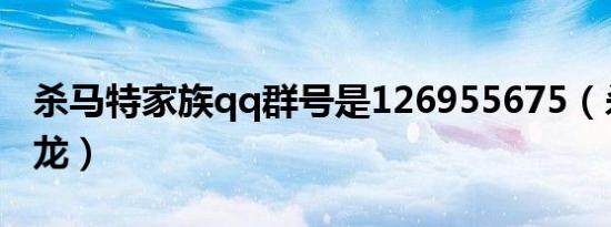 杀马特家族qq群号是126955675（杀马特龙龙）